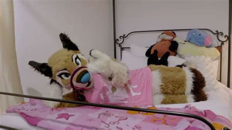 furries sex videos|Videos Tagged with furry .